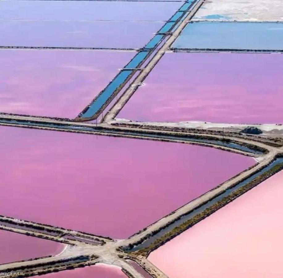 Le soupir des palmiers. Idéal couple, piscine, mer La Grande-Motte Esterno foto